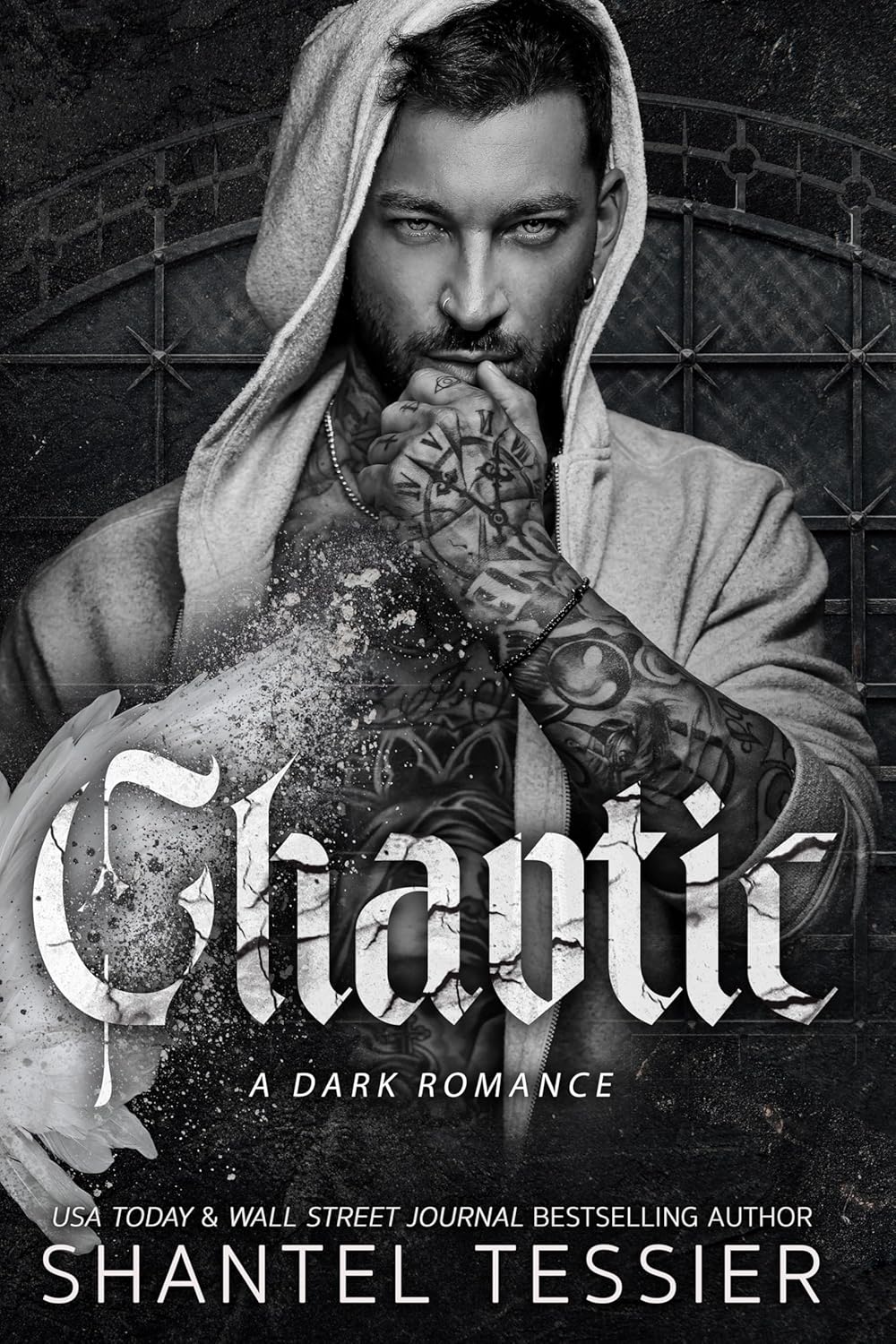 Chaos by Shantel Tessier